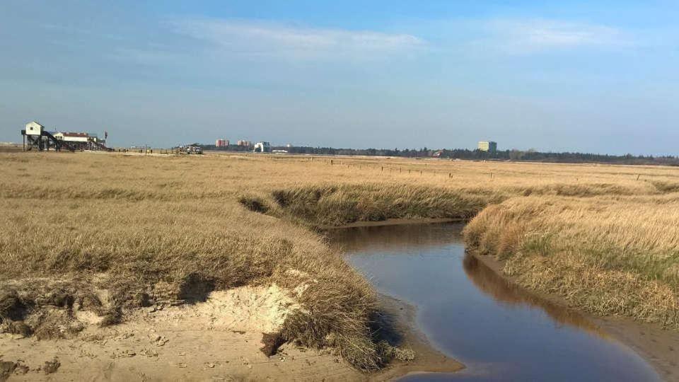 Ferienwohnung-Soltau-1-Og-Rechts Sankt Peter-Ording Extérieur photo